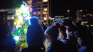 4k WalkLook Around  Matariki Fireworks show Night Wellington NZ  June 24 2022 winter [upl. by Reagan]