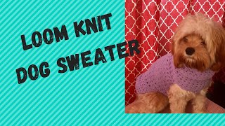 How to Loom Knit A Dog Sweater [upl. by Euqinor]