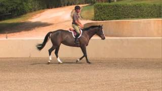 John French How To Ride A Hunters Under Saddle Class [upl. by Analrahc975]