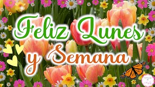 Feliz Lunes💛Dios te Bendiga en este Día🙏Lindo Mensaje de Buenos días para ti💗 [upl. by Kay994]