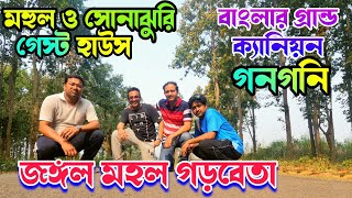 Garbeta Gangoni  Paschim Medinipur  Garbeta Forest  গড়বেতার জঙ্গল  Mahul Guest House  গনগনি [upl. by Cott]