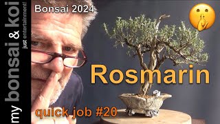 Bonsai 202414  quick job 20  Rosmarin  Aufhübschen für die Hai Yama Ten [upl. by Anitsyrk966]