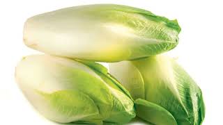 Endive Cichorium endivia is a vegetable very beneficial [upl. by Htebsle]