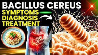 Bacillus Cereus Understanding Food Poisoning from Reheated Rice [upl. by Ron]