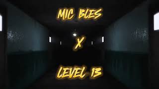 Mic Bles X Level 13  Second Testament Feat WRD Life  Tone Spliff cuts  LYRIC VIDEO [upl. by Divadnhoj]