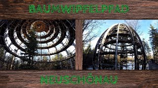 Baumwipfelpfad  Neuschönau  Bayerischer Wald [upl. by Ripleigh]