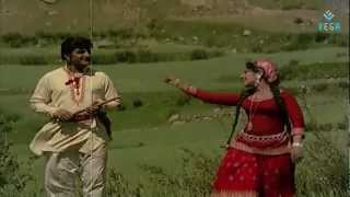 Nede Thelisindi Eenade Thelisindi Video Song  Aaradhana  NTRVanisri [upl. by Kobi]