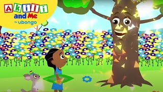 EPISODE 5 Akili and the Magic Tree  Full Episode of Akili and Me  African Educational Cartoons [upl. by Alick]