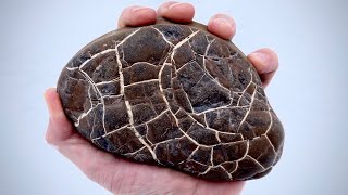 Cutting Lightning Stones open  These Septarian Nodules rock [upl. by Augusta]