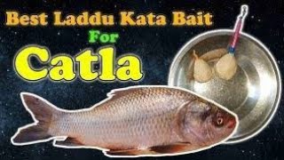 katla fish bait for feeder fishing once you try it katlafishcatching feederfishing popup [upl. by Ivz]