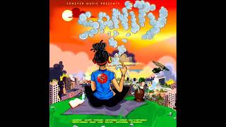 Sanity Riddim Mix Full Feat Perfect Giddimani Aaron Silk Darrio Earth Tremma September 2023 [upl. by Kcajyllib]