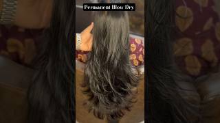 Permanent Blow Dry treatment ✨healthy silky shine smoothfrizz repair [upl. by Adlih633]