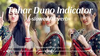 Tohar Duno Indicator Slowed Reverb Song Mi Song Slowed Bhojpuri Song720pmp4 [upl. by Adiahs]