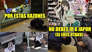 LOS JAPONESES ODIAN A LOS OTAKUS [upl. by Picardi916]