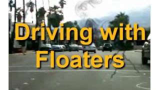 Vitreous Floaters  Driving Simulator [upl. by Klenk]