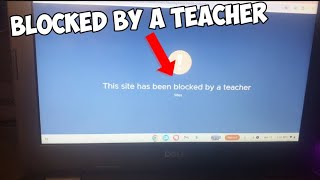 Teacher blocking cat [upl. by Hildie]