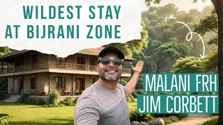 Jim Corbett Bijrani Zone Tour  Wild Life Safari Experience  Exploring Jim Corbett’s Bijrani zone [upl. by Bick]