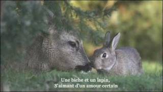 la biche et le lapin [upl. by Atsuj]