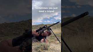 Sometimes bipods aren’t enough and we need to learn how to use a tripod properly [upl. by Lefty]