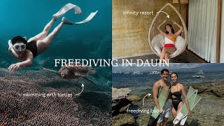 freediving in Apo Island Dauin Marine Sanctuary Angel Dei [upl. by Ruscher]