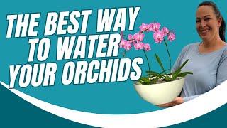 The Best Way to Water Orchids [upl. by Ardnalac436]