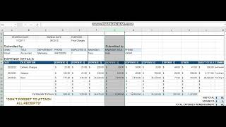 ExpenseReportProjectMS Excel [upl. by Viddah963]