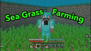 Minecraft How to Build a Sea Grass Farm [upl. by Clere]