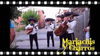 MARIACHIS Y CHARROS CALICANTO EL DIA MAS HERMOSO [upl. by Cirtemed]