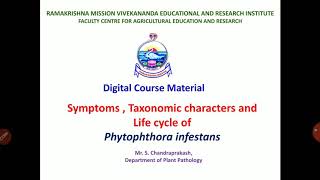 Lecture 15  Phytophthora infestans  Symptoms Taxonomic characters and Life cycle of  PAT 201 [upl. by Aerdnuahs]