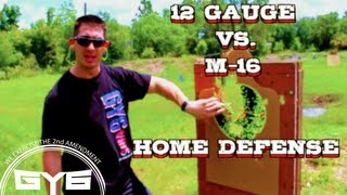 HOME DEFENSE12 Gauge or M16 [upl. by Lori]