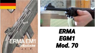 aus der Waffenkammer ERMA EGM 1 Mod 70 Gewehr 22 lfb  Kleinkaliber M1 Carbine  EGM1 lr EM1 [upl. by Loftus]