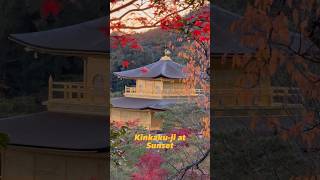 Kinkakuji Temple in Kyoto  Fall foliage [upl. by Marylee714]