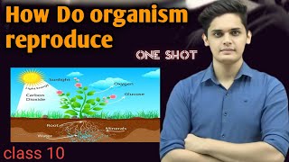 How do organisms reproduce class 10 By Prashant sir class 10 [upl. by Ahsieni]