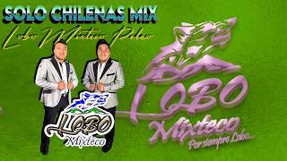 Lobo Mixteco Sus Mejores Canciones 🎶 Chilena Mixteca  Tocando Todos Sus Exitos [upl. by Kolva]