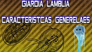 Giardia lamblia Características Generales [upl. by Ahsiugal]