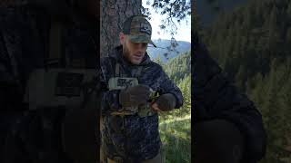 How I Run My Bino Harness For Spring Bear Hunting [upl. by Olotrab608]