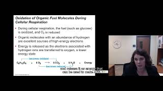 91 Cellular Respiration [upl. by Assenad258]