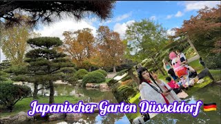 Japanischer Garten Düsseldorf 🇩🇪 [upl. by Sileas]