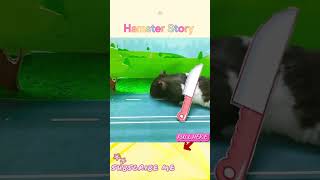 🐹Hamster Escapes the awesome Maze for Pets in real life 🐹 in Hamster Story hamstermazewithtraps [upl. by Namwen]