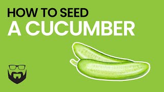 How to Seed a Cucumber 2 Ways [upl. by Tera377]