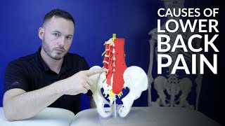 Low back pain The most common causes of lower back pain [upl. by Retla]