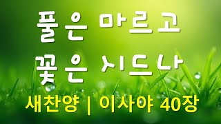 찬양 새로운 CCM   풀은 마르고 꽃은 시드나   작사 편곡 임진  이사야 40장 [upl. by Nuhsal512]