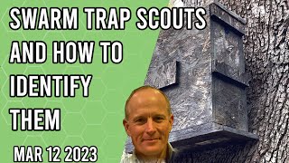 Swarm Trap Scouts and How To Identify Them  Jacksonville FL Zone 9a [upl. by Asiat]