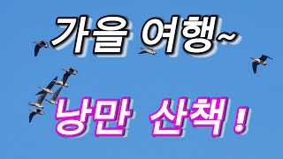 quot가을 여행quot quot가을 낭만 산책quot 100선 중 1위는배경음악 이루마의 피아노 연주곡 [upl. by Ayanet]