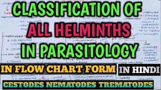 Parasitology  Classification of Helminths in Microbiology  Cestodes  Nematodes  Trematodes [upl. by Yeclek951]