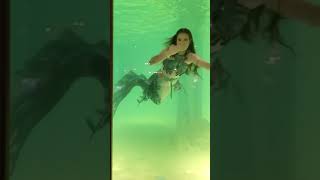 Mermaid Jade Swim  Jungle Reef Opening [upl. by Husein729]