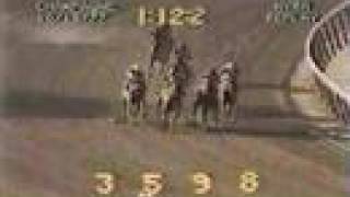 Alydar vs Affirmed  1977 Champagne Stakes 5th Meeting [upl. by Feingold883]