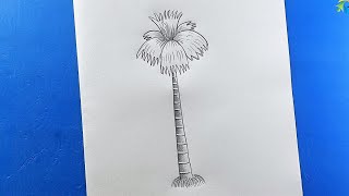 Tal Gas Drawing  Palm tree Drawing  Voice Tutorial [upl. by Goulet]