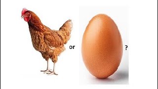 The Chicken or Egg Scientists Finally Crack the Debate [upl. by Palila]