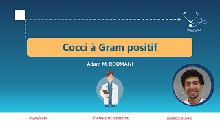 Cocci à Gram positif  Streptocoques I [upl. by Chadd]